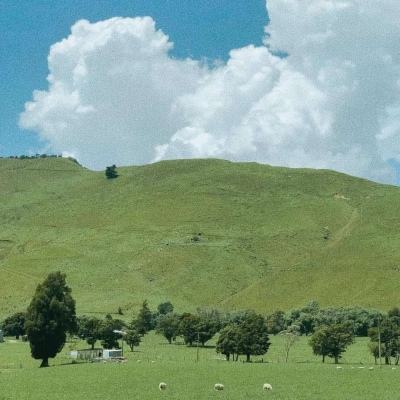 半岛登录网页截图